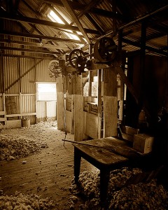 Shearing Shed Strathbogie